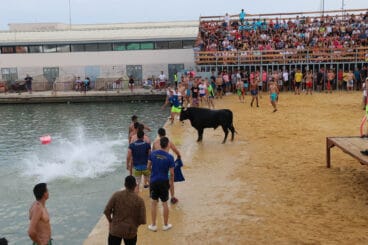 toro frente al algua en la plaza de bous a la mar de denia