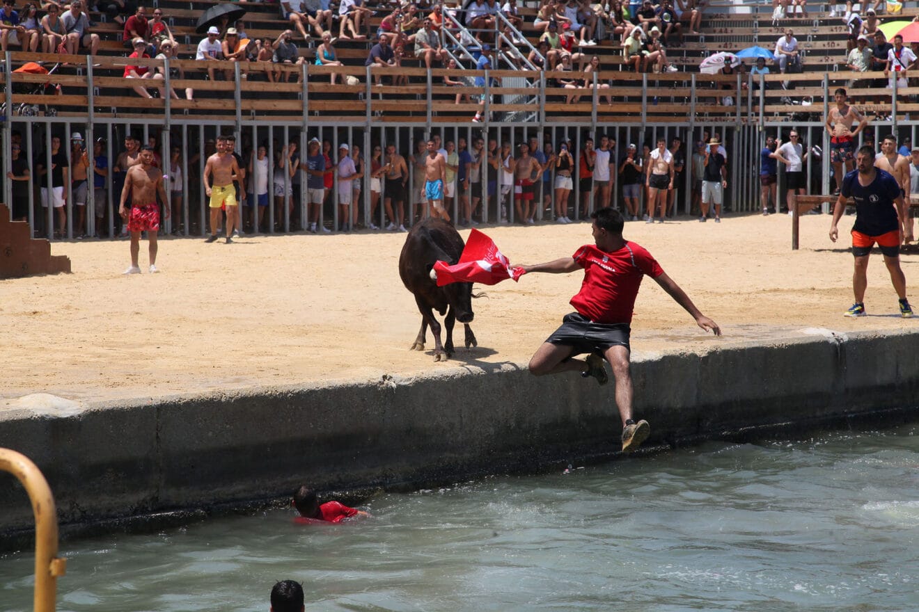 Bous a la Mar de Dénia en la sesión del jueves a mediodía 01