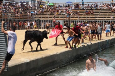 Bous a la Mar de Dénia en la sesión del jueves a mediodía 03
