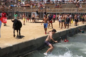 Bous a la Mar de Dénia en la sesión del jueves a mediodía 05