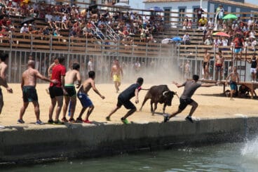 Bous a la Mar de Dénia en la sesión del jueves a mediodía 07