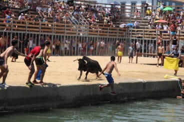 Bous a la Mar de Dénia en la sesión del jueves a mediodía 08