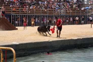 Bous a la Mar de Dénia en la sesión del jueves a mediodía 09