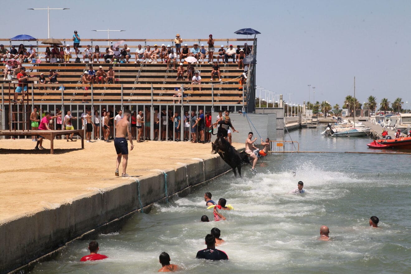 Bous a la Mar de Dénia en la sesión del jueves a mediodía