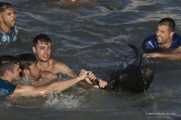 Bous a la Mar en Dénia, por Aitor Garmendia