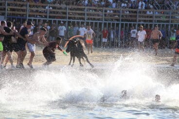 primera jornada de bous a la mar en denia