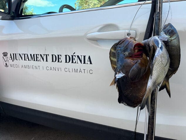Imagen: Captura del pescador furtivo en la reserva de Dénia