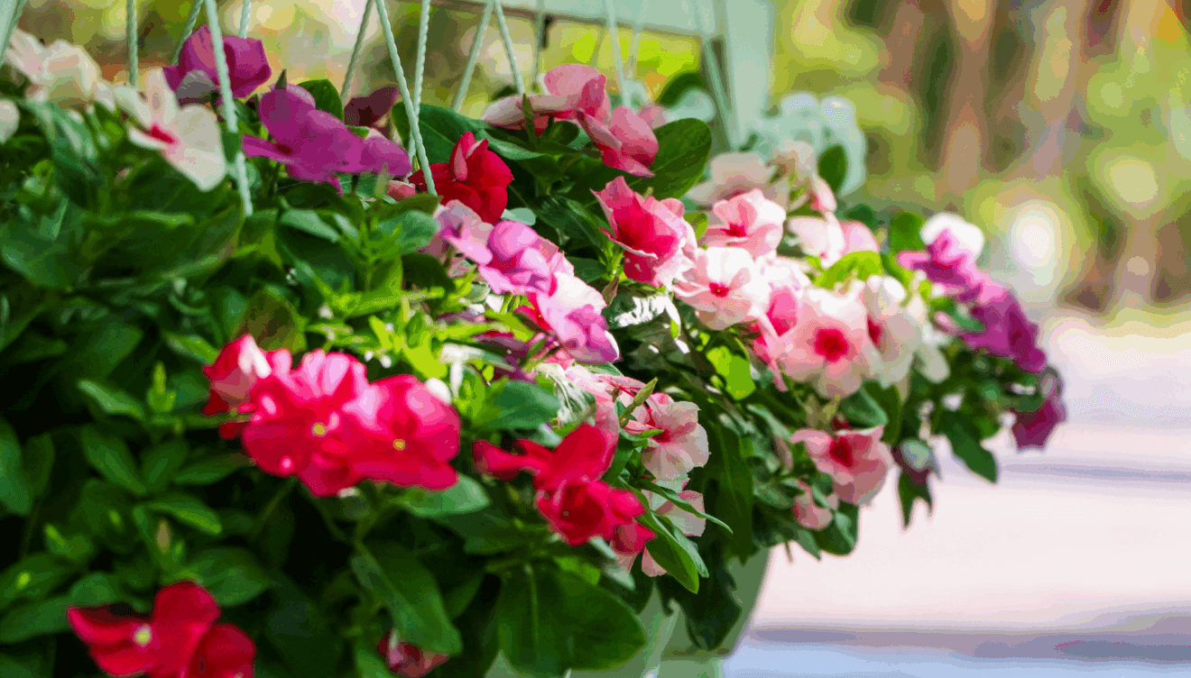 Dale color a tu hogar con las flores de Monverd