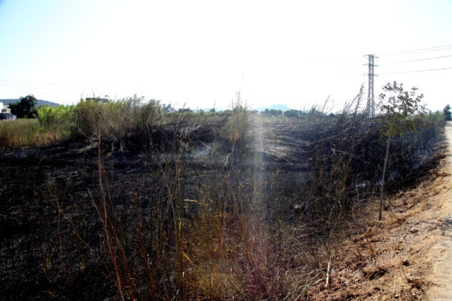 Imagen: descampado quemado en denia