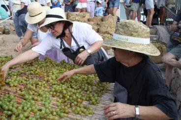 Festa de l’Escaldà de Jesús Pobre 2022 17