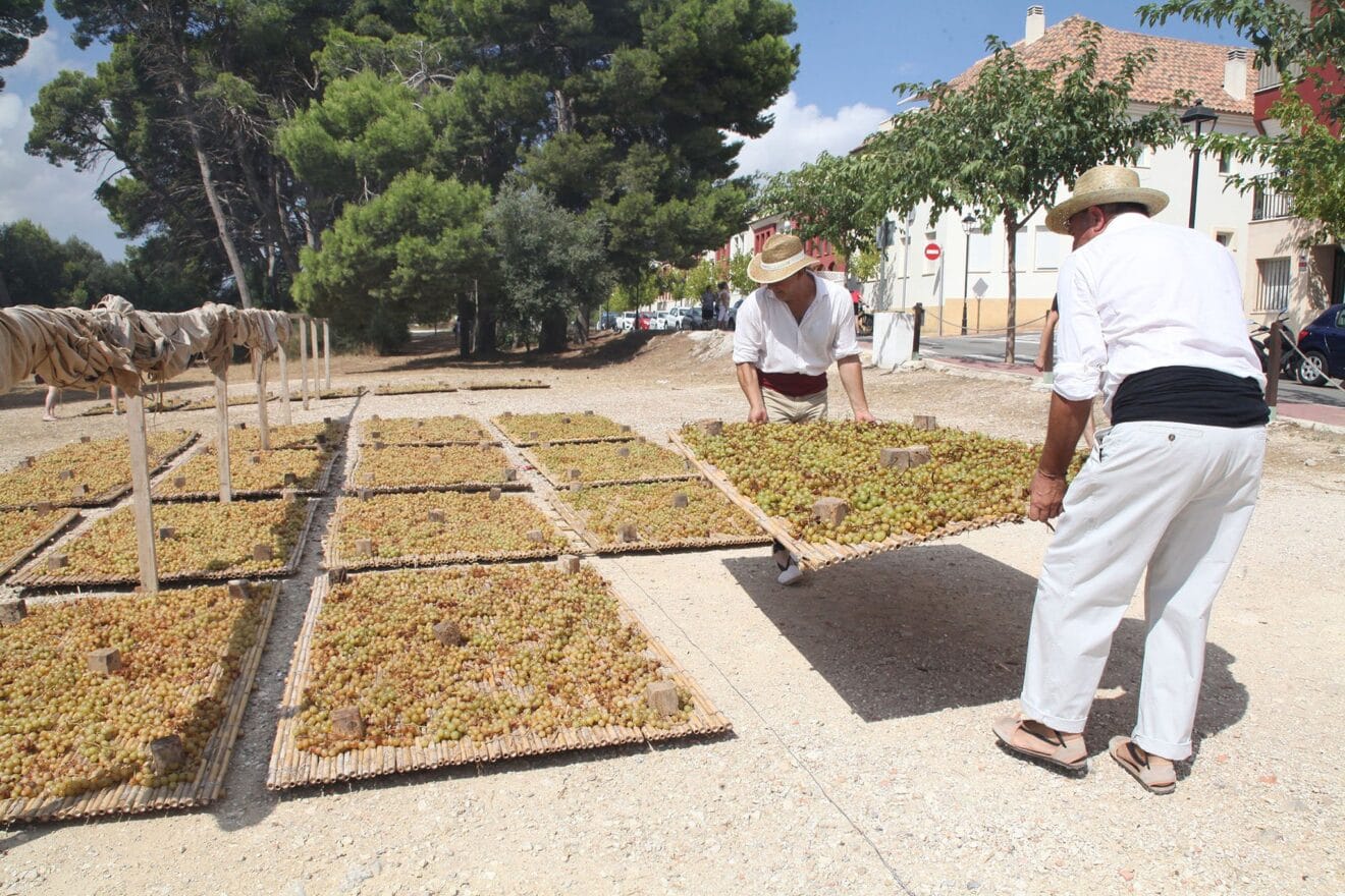 Festa de l'Escaldà de Jesús Pobre 2022 41
