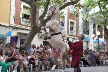 Gran desfile de gala de los Moros y Cristianos de Dénia 08