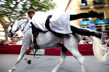 Gran desfile de gala de los Moros y Cristianos de Dénia 31