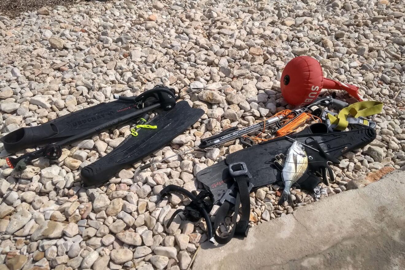 Material de pesca y la dorada decomisadas