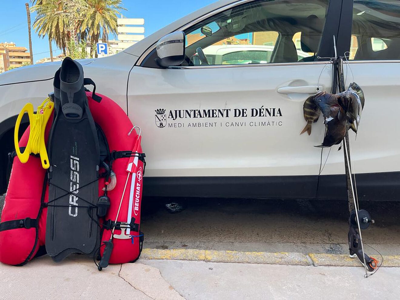 Material y captura interceptada en Dénia a un furtivo