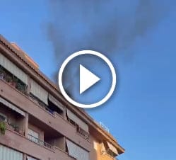 video humo