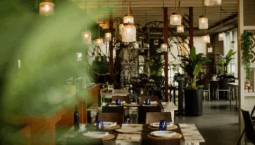 acogedor interior que evoca a la naturaleza mediterrasian