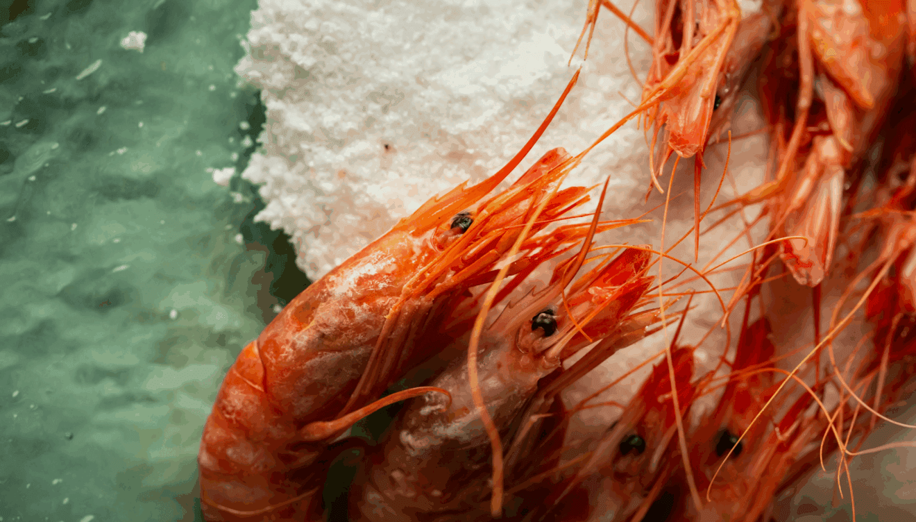 El marisco más fresco en este restaurante de Dénia