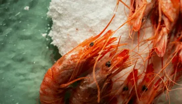 El marisco más fresco en este restaurante de Dénia