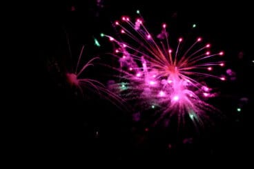 9 d’Octubre 2022 en Dénia 107