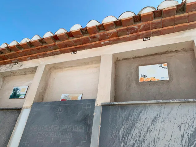 Imagen: Adecuación del cementerio de Dénia