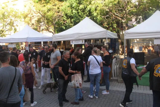 Cientos de personas asistieron a la nueva Feria de Asociaciones de Dénia 25 denia celebra la feria de asociaciones de 2022 28