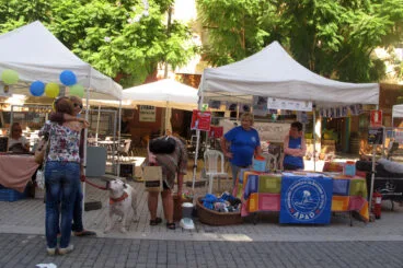 Dénia celebra la Feria de Asociaciones de 2022 43