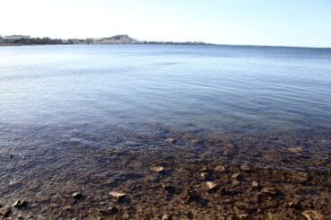 Gran éxito en el regreso del DNA Festival a Dénia 104