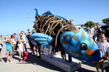 Jornada de limpieza de la costa de Dénia 48