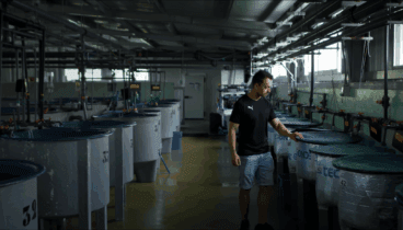 Tradición marinera en la Marina Alta para la nueva campaña de la Generalitat Valenciana