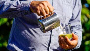 Empieza el día desayunando un delicioso té matcha