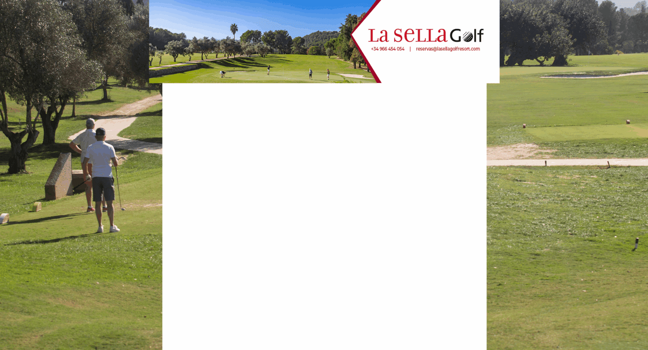 skin-la-sella