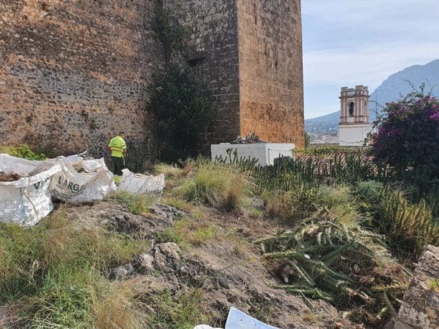 Dénia cierra esta semana el acceso al castillo 2 Imagen: Tareas de desbroce en el castillo de Dénia