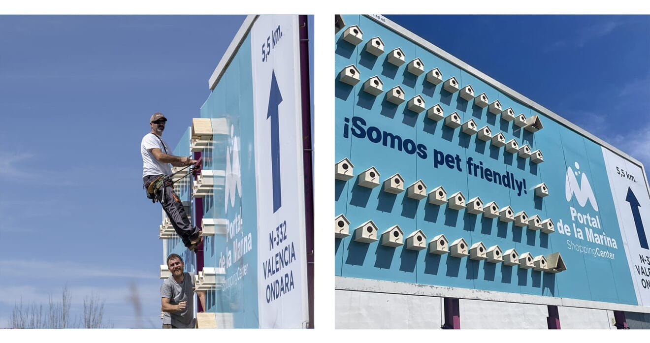 Valla Pet Friendly
