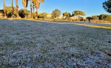 escarcha congelada en denia en 2021