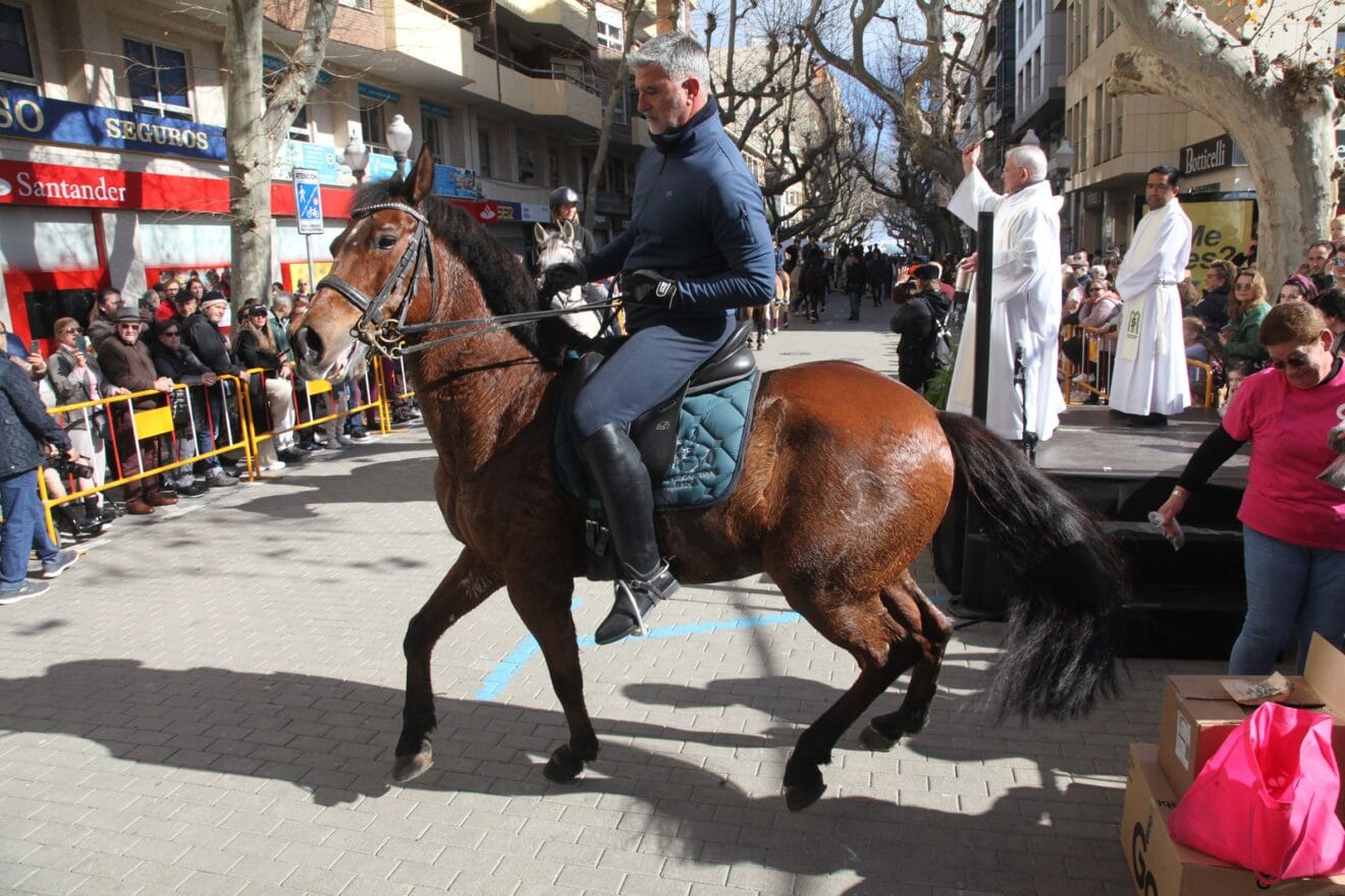 Celebración de Sant Antoni Dénia 2023 (19)