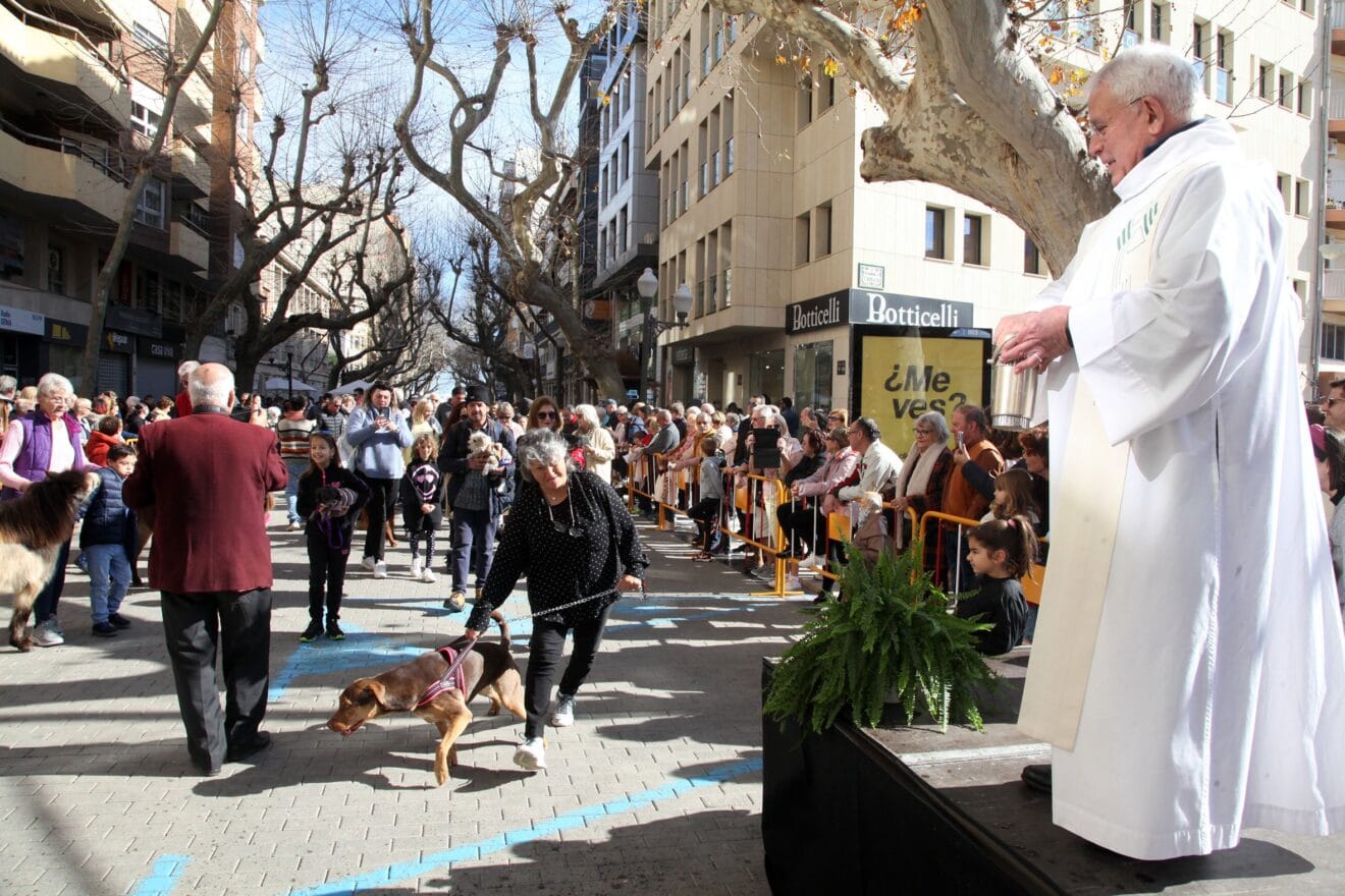 Celebración de Sant Antoni Dénia 2023 (23)