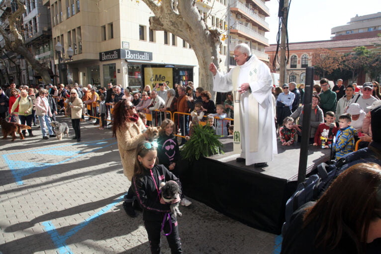 Celebración de Sant Antoni Dénia 2023 (25)
