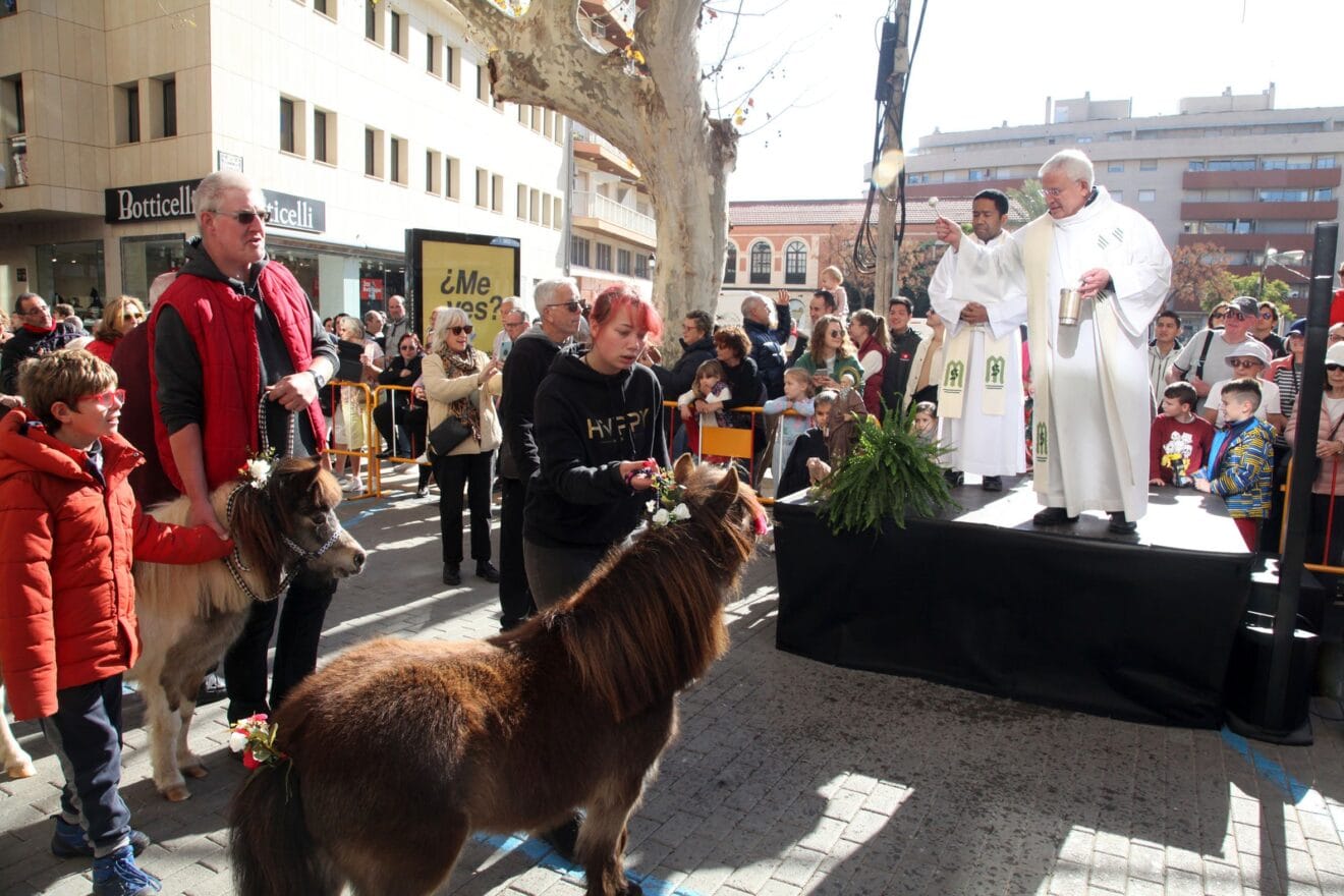 Celebración de Sant Antoni Dénia 2023