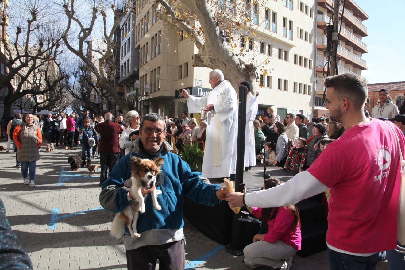 Celebración de Sant Antoni Dénia 2023 (28)