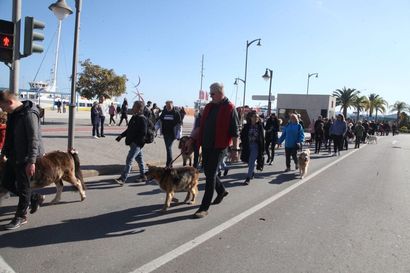 Celebración de Sant Antoni Dénia 2023 (3)