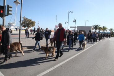 Celebración de Sant Antoni Dénia 2023 (3)