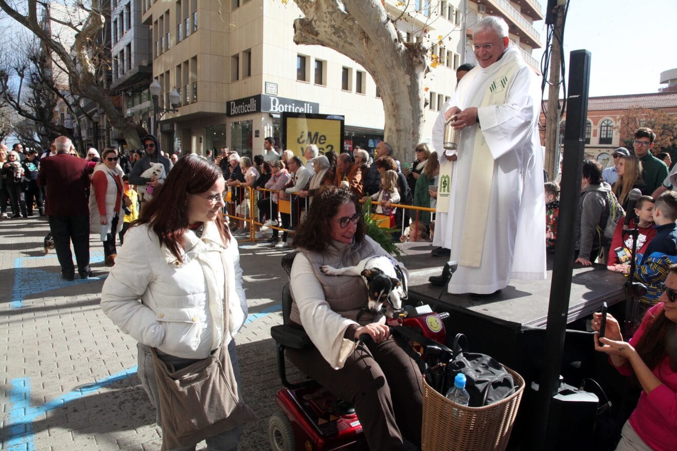 Celebración de Sant Antoni Dénia 2023 (30)