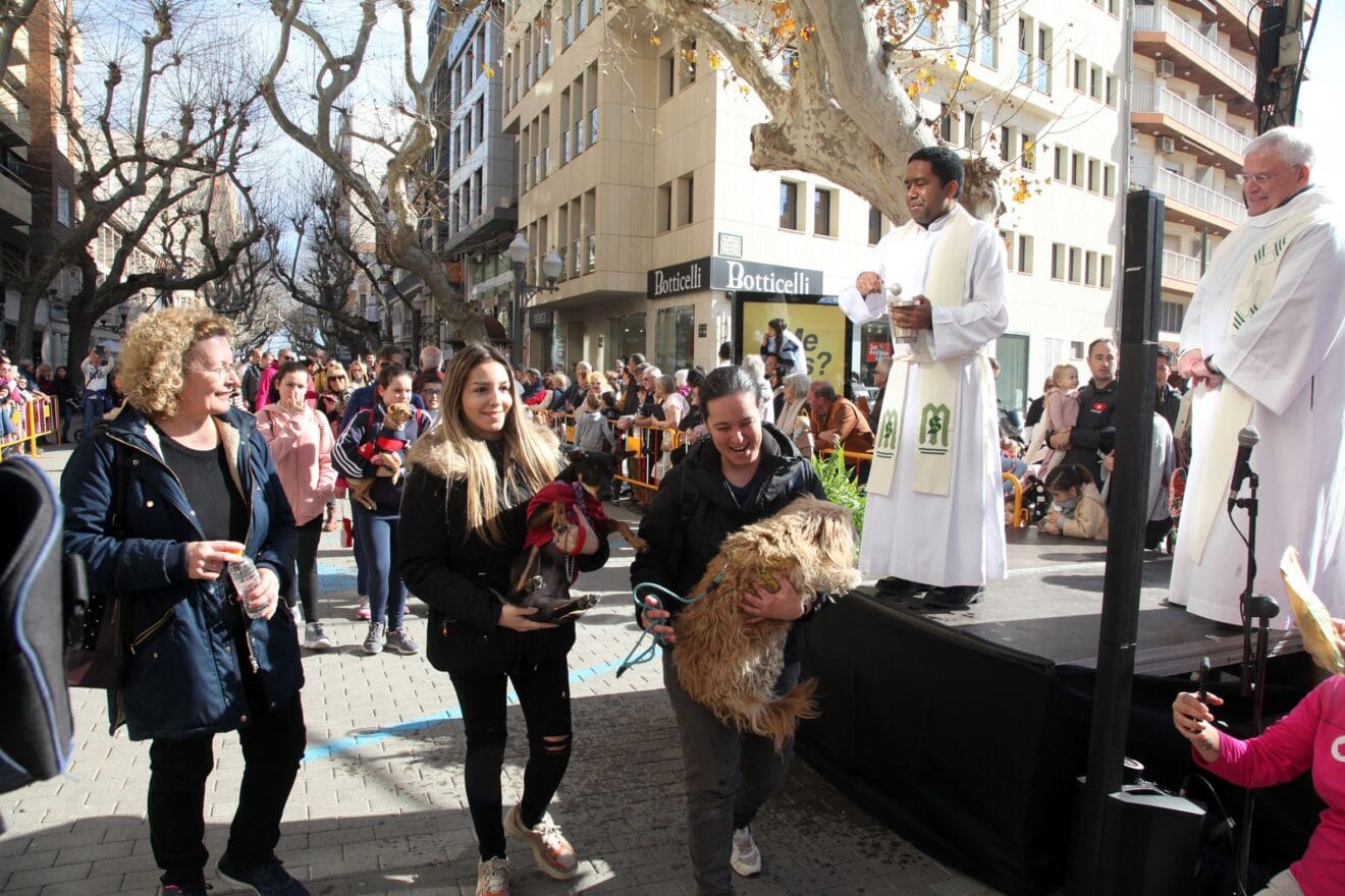 Celebración de Sant Antoni Dénia 2023 (32)