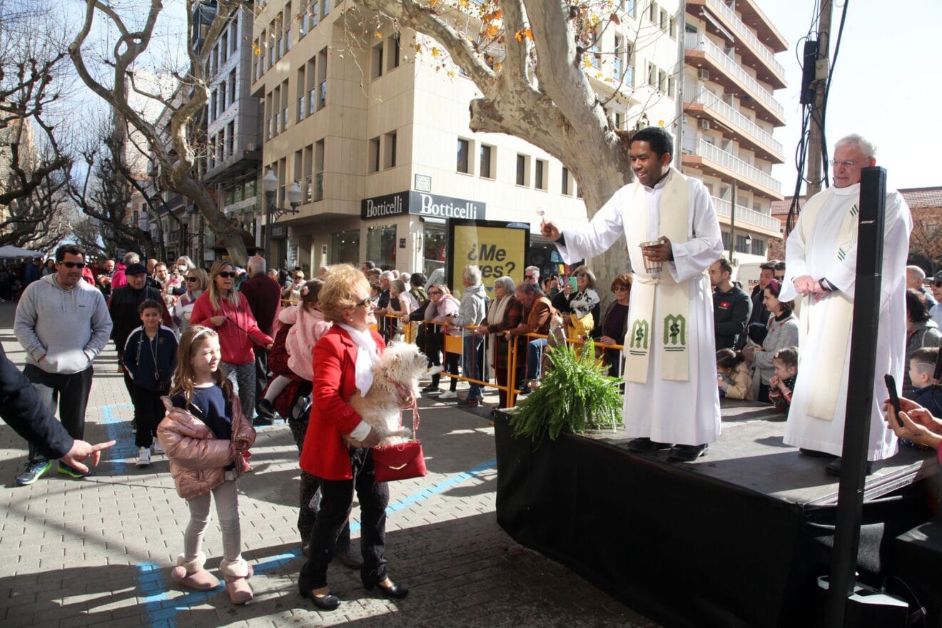 Celebración de Sant Antoni Dénia 2023 (35)