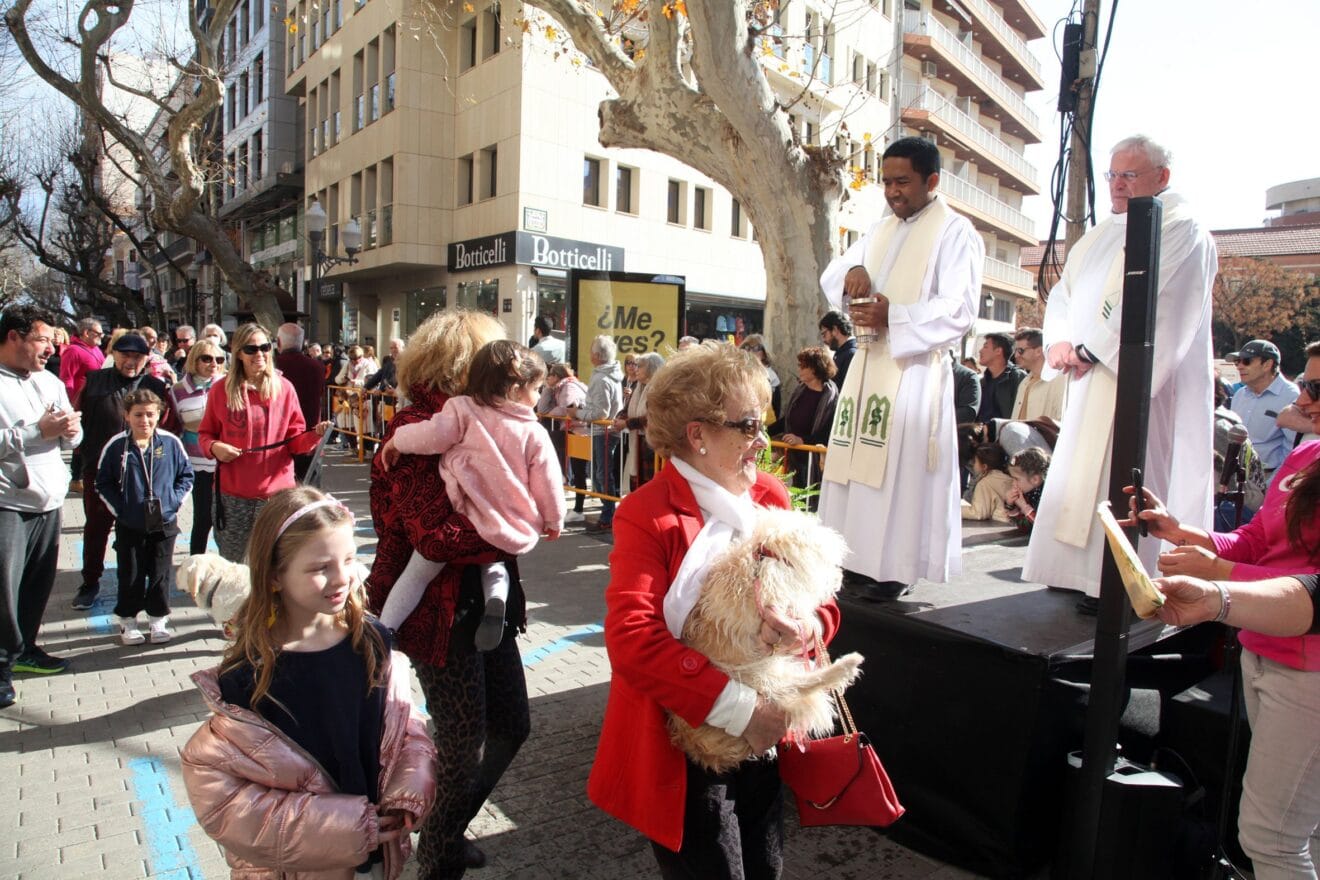 Celebración de Sant Antoni Dénia 2023 (36)