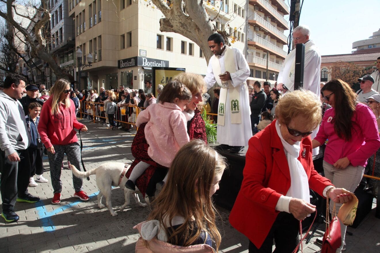 Celebración de Sant Antoni Dénia 2023 (37)