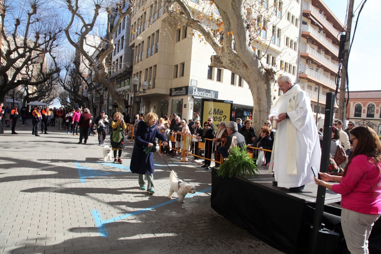 Celebración de Sant Antoni Dénia 2023 (38)