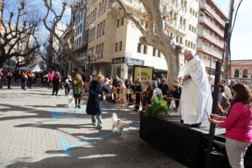 Celebración de Sant Antoni Dénia 2023 (38)