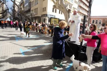 Celebración de Sant Antoni Dénia 2023 (39)